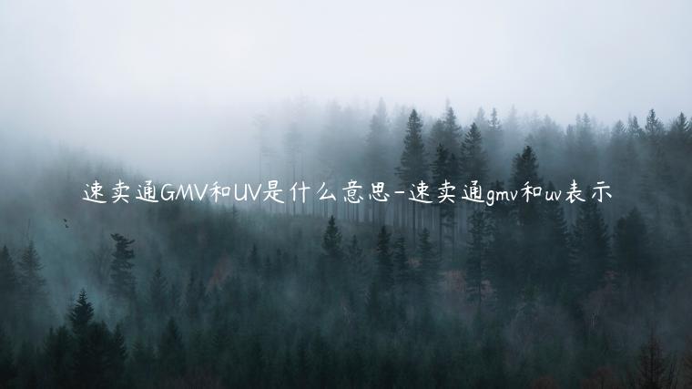 速賣通GMV和UV是什么意思-速賣通gmv和uv表示